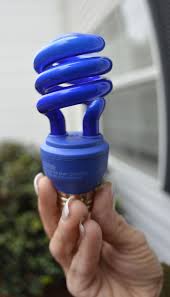 Area Residents Flipping Switches To Blue Porch Lights To
