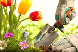 13 Essential Gardening Tools Gardener