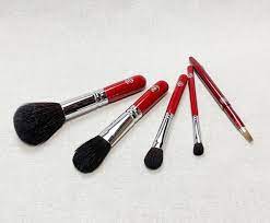 usukuzakura makeup brush set 5 makeup