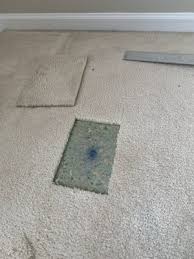 carpet wiser carpet cleaning 1115