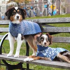 The Best Dog Clothing Brands For Stylish Pet Clothes