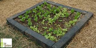 Raised Bed Garden