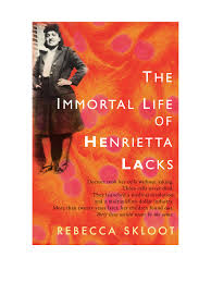 BMC Medical Ethics Study Evaluates the Media Impact of Rebecca Skloot s Immortal  Life of Henrietta Lacks   Big Think