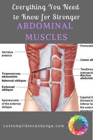 stronger abdominal muscles