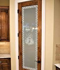 Glass Pantry Door Ideas