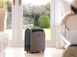 5 Best Whole House Dehumidifiers 2023