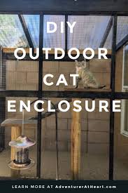 diy outdoor cat enclosure