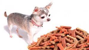 Da 3 a 10 mesi: Quanto Mangia Un Cane Chihuahua Al Giorno Mondopets It