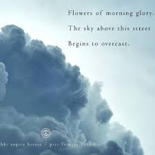 We did not find results for: Stream Naviar Records Listen To Haiku 245 Flowers Of Morning Glory The Sky Above This Street Begins To Overcast Playlist Online For Free On Soundcloud
