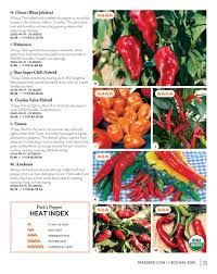garden salsa hybrid pepper seeds