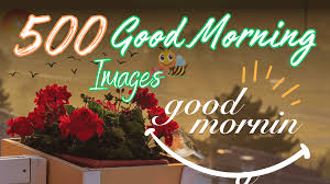 good morning images wishes status es