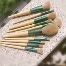 complete set of beginner makeup brushes