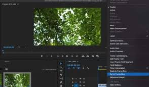 how to resize video in premiere pro 2