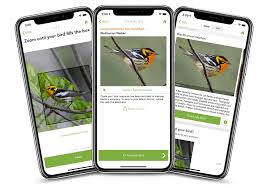 Are you looking for a professional bird identifier app? Photo Id Merlin Bird Id Free Instant Bird Identification Help And Guide For Thousands Of Birds