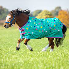 turnout rugs rugs horse shires