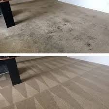 best carpet cleaning birmingham no1