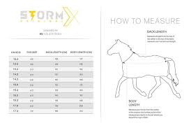 size guide chambers farm equestrian