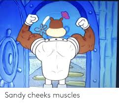 Spongebob and sandy were wearing their usual normal attire on during the experiment that sandy was working on, though instead of. Sandy Cheeks Muscles Sandy Cheeks Meme On Loveforquotes Com