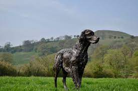 English Setter Sculpture By Tanya