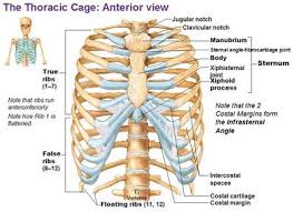 The right rib cage protects several vital organs such as intestine, pancreas, kidneys, gallbladder, liver this pain feels like someone stabbing your right rib cage area or chest area every time you breathe. Slipping Rib Syndrome Physiopedia