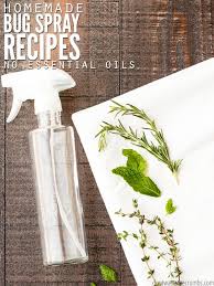 homemade bug spray recipes all