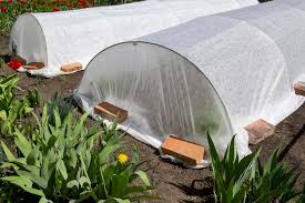 using row covers to protect the garden