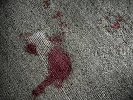 how to clean blood from carpet carpet