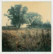 Andrei Tarkovskys Polaroids Instant Light Graphicine