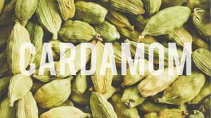 Cardamom oil — Natural ingredient for perfumery overview — Scentspiracy