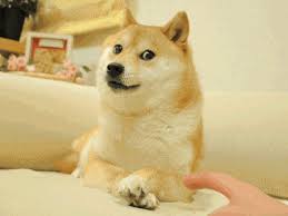 A subreddit for sharing, discussing, hoarding and wow'ing about dogecoins. Steam Community Happy Doge