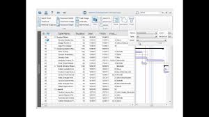 Steelray Project Viewer Viewer For Microsoft Project Files
