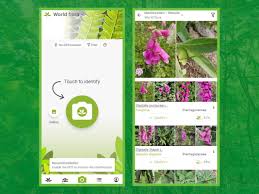 cool plant identification apps