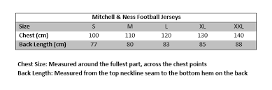 Mitchell Ness Joe Montana 16 San Francisco 49ers Legacy