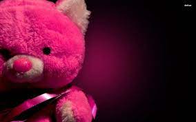 pink bear toy bear pink teddy hd