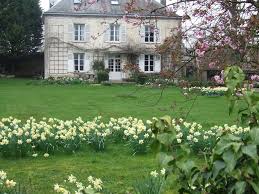 My French Country Garden Your Opinion