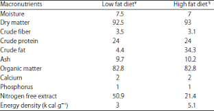lipid profile in obese male rats