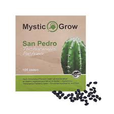 I found this info by googling 'how to prepare san pedro cactus'.there is plenty of other info there for you as well. Trichocereus Pachanoi San Pedro Worldherbals