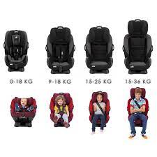 Joie Every Stage Convertible Car Seat 0