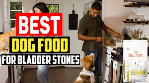 top 5 best dog food for bladder stones