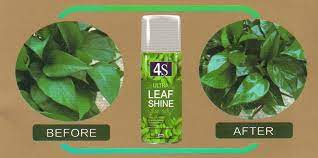 Leaf Shine Spray 4s Leafshine Spray