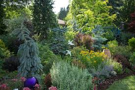 Garden Tour Where Conifers And Texture
