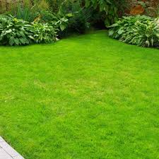 Contact us today to create the perfect plan to improve your lawn! Trugreen Vs Natural Lawn Of America Green Lawn Fertilizing