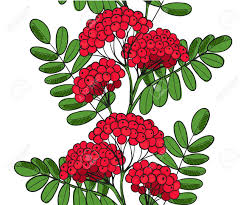 Seamless Pattern Red Rowan Tree Endless Ornament Twig Of Rowanberry
