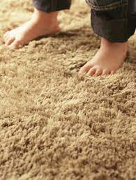 carpet sealers ecohome improvement