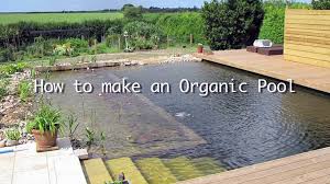 Maintenance is very simple, with nature doing the hard work. How To Build A Natural Pool Diy Organic Pool Build Video Dailymotion
