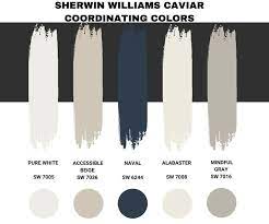 Sherwin Williams Caviar Palette