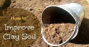 Improving Clay Soil Better Garden Soil