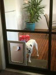 Aussie Pet Doors Large Dog Door Suits