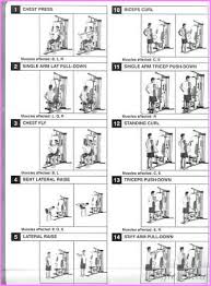 Weider Ultimate Body Works Exercises Star Styles