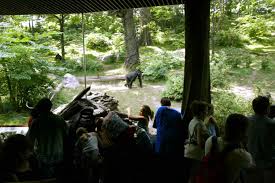 the best zoos in the us